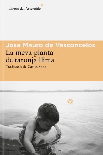 La meva planta de taronja llima